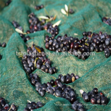 China Versorgen Sie 100% HDPE olivenerntes netto / olivenetz für die landwirtschaft (32g-150g olivenetz)